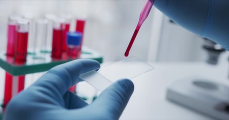 Wall Mural - close- up of scientist studying sample under microscope in the laboratory.