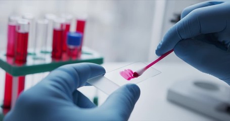 Wall Mural - Close- up of scientist studying sample under microscope in the laboratory.