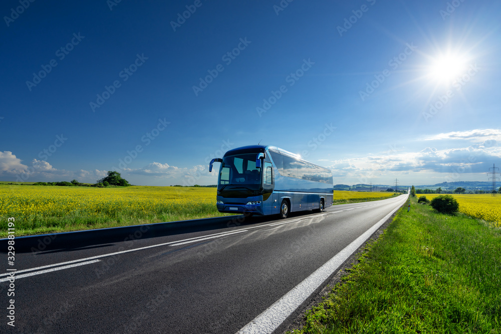 Blue bus driving on the asphalt road between the yellow flowering rapeseed fields under radiant sun in the rural landscape - obrazy, fototapety, plakaty 