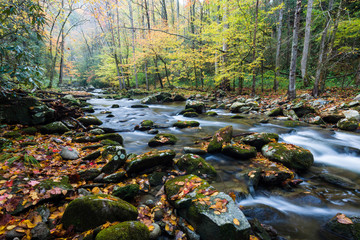 Wall Mural - The Middle Prong of the Little River flows peacefully through the autumn landscape of Great Smoky Mountains National Park in the Appalachian Mountains of Tennessee.