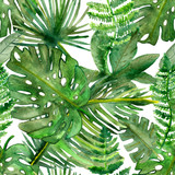 Watercolor hand painted nature tropical seamless pattern with green different palm leaves composition on the white background, jungle plants print for design elements and textile