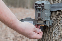A Man Taking The SD Card Out Of A Motion Activated Trail Camera To Check The Photos For Wild Game. Trail Cameras Are Often Used By Hunters And Wildlife Enthusiasts To Survey The Animals In The Area.