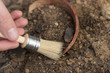 archeology female hand holds brush a tassel excavation of rare materials treasure hunt and archeology find rare  resources in grass