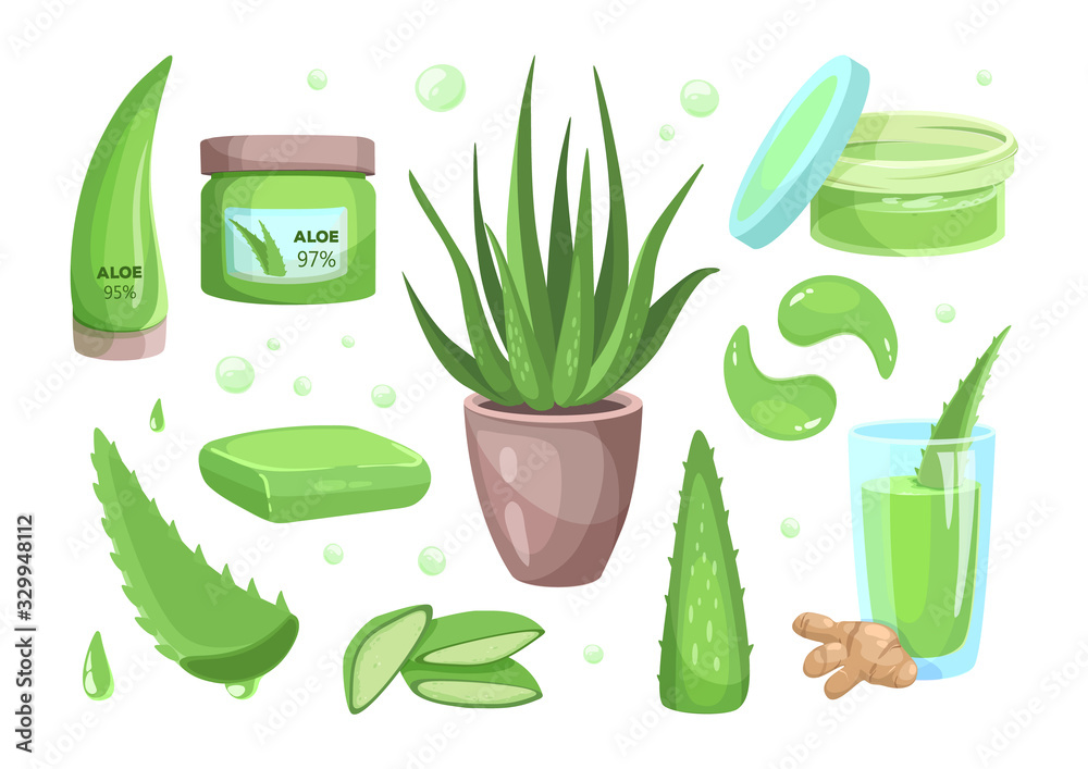 aloe vera topf ohne loch Aloe vera im weien bertopf ELHO - Aloe vera