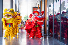23 January 2020-Phuket::lion Dance Show For Chinese New Year