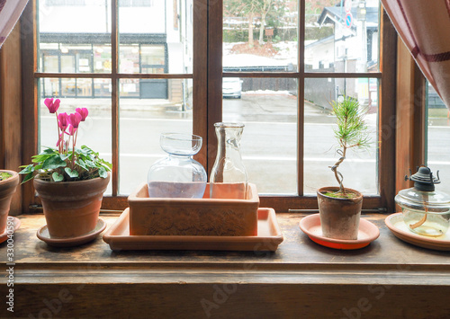 Fototapeta na drzwi i meble plant in pot on windowsill. decor of local cafe