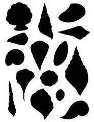 Wall Mural - black silhouette big different seashell collection tropical shells flat vector illustration on white