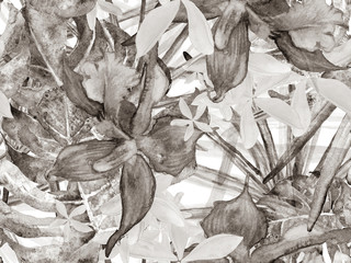  Orchid Seamless Pattern.