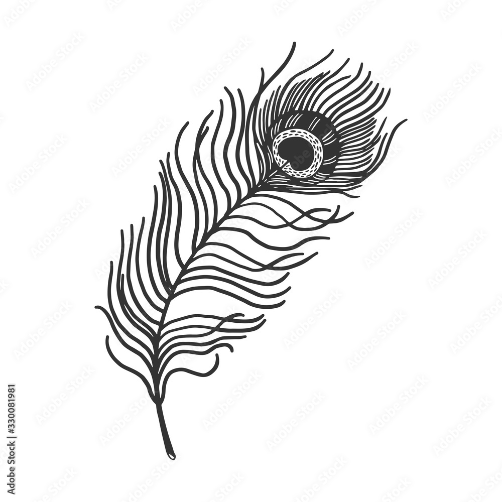 Peacock feather sketch engraving vector illustration. T-shirt apparel print  design. Scratch board imitation. Black and white hand drawn image. Stock  Vector | Adobe Stock, image size:1000x1000