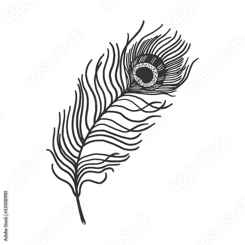 Peacock Feather Sketch Engraving Vector Illustration T Shirt Apparel Print Design Scratch Board Imitation Black And White Hand Drawn Image Stock Vector Adobe Stock