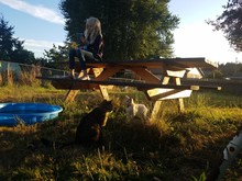 Girl Looking At Mobile Phone While Sitting On Picnic Table By Cats In Yard