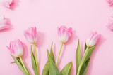 Fototapeta Tulipany - beautiful pink tulips on pink background
