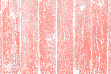 Poster - color spots of paint isolated on white background