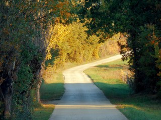 Poster - road