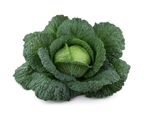 Sticker - Fresh cabbage