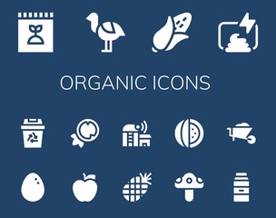 Wall Mural - organic icon set