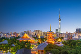 Fototapeta  - aerial view of tokyo city at night in japan