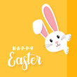Easter rabbit, easter Bunny. Vector illustration.