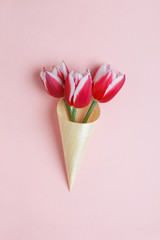 fresh beautiful bouquet of tulips in wooden cone on pastel rose background, creative Mother's Day and floral spring card, top view, copy space