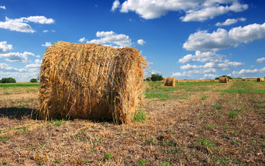 Poster - Hay bale in the countryside