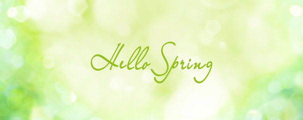 Wall Mural - spring background - abstract banner - green blurred bokeh lights - hello spring greetings