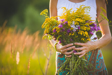 Beautiful Bouquet Of Bright Colorful Wildflowers In The Hands Of A Young Girl Walking In The Field In The Evening. Toning
