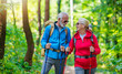 © ivanko80 - Happy senior couple of hikers  in the forest