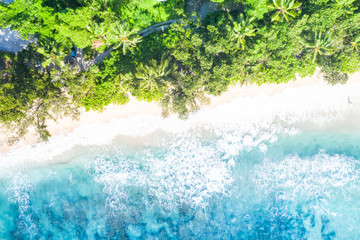 Canvas Print - Seychelles beach Mahé Mahe island nature vacation paradise drone view aerial photo