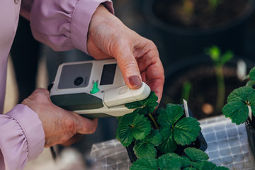 Modern portable device for measuring the chlorophyll and nitrogen content in plant leaves