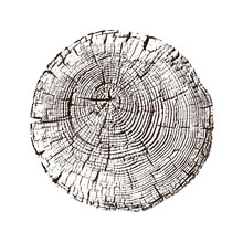 Black And White Stamp Of Wood Texture Of Tree Rings From A Slice Of Log. Contrast Negative Monotone Image Of Cut Tree.