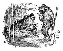 Frogs Toads Vintage Art Free Stock Photo - Public Domain Pictures