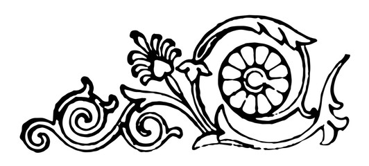 Wall Mural - Floral have flowers a leaves pattern, vintage engraving.