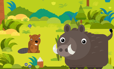 cartoon scene with different european animals in the forest illustration