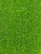 © Phaitoon - Close up image of Green artificial grass for background