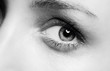 canvas print picture - Close up of womans eye