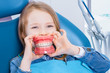 Little cute girl is sitting in dental blue chair in clinic, office. Funny kid patient is holding jaw layout in front of mouth like her smile. Visiting doctor dentist orthodontist with children.