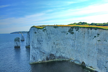 Wall Mural - Old Harry Rocks cliffs on the southern coast of England