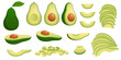 Cartoon avocado. Ripe avocados fruits, healthy nutritious natural food and avocado slices vector illustration set. Avocado green, tropical healthy nutrition, health food exotic