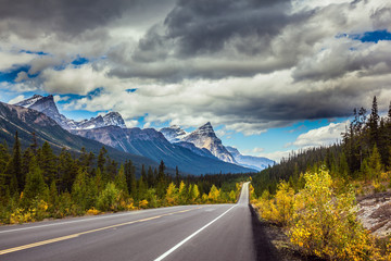 Wall Mural - Excellent highway