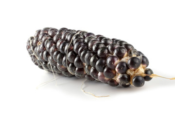 Canvas Print - Black corn isolated on white