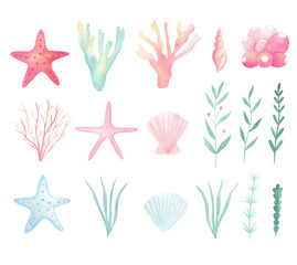 Watercolor sea, ocean life clip art. Marine plants, seashell, starfish set isolated on white background. Hand drawn watercolor illustration  with sea, underwater life.  