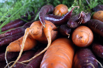 Wall Mural - Carrots and unusual violet carrots background