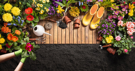 Wall Mural - Gardening Tools on Soil Background. Spring Garden Works Concept