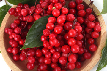 Wall Mural - Schisandra chinensis on wooden plate