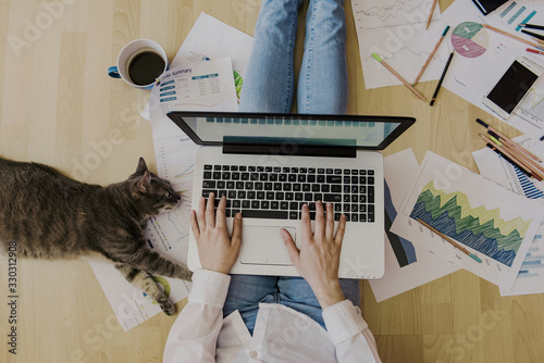 Photographie creative home work space - work from home concept - girl with cat