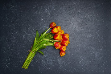 Wall Mural - Tulips flowers on natural background.