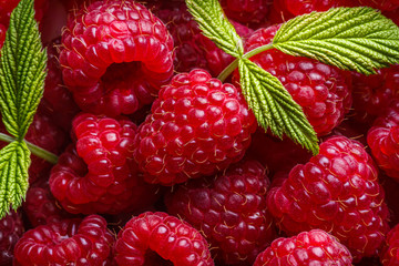 Wall Mural - Juicy fresh natural raspberries on white acrylic background