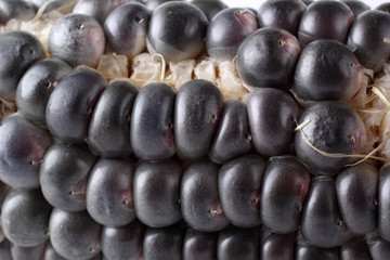 Canvas Print - Black corn background