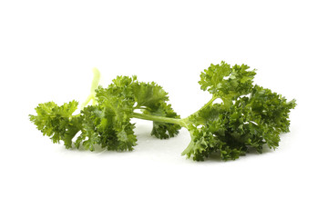 Poster - Parsley isolated on white