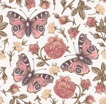 Butterflies Peacock Moths Insect Fly. Flowers Seamless Pattern Blooming Roses Agrostemma Realistic Isolated. Vintage Fabric Background. Wildflowers Drawing Engraving Vector Victorian Illustration 